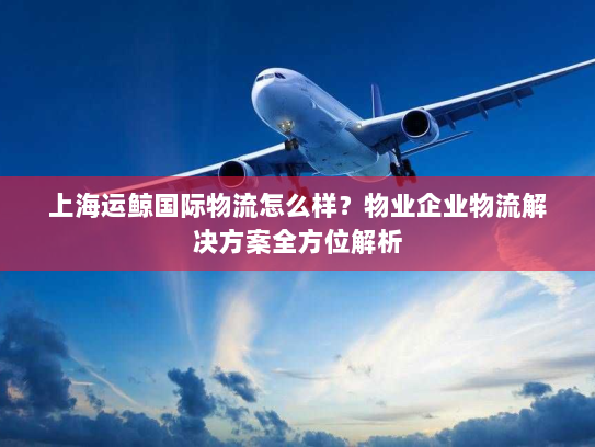 上海运鲸国际物流怎么样?物业企业物流解决方案全方位解析 上海运鲸国际物流怎么样?物业企业物流解决方案全方位解析
