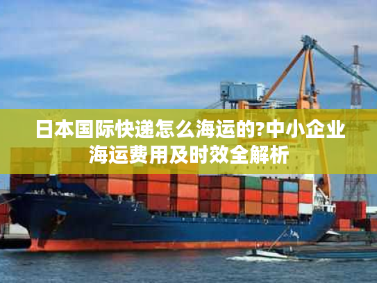 日本国际快递怎么海运的?中小企业海运费用及时效全解析