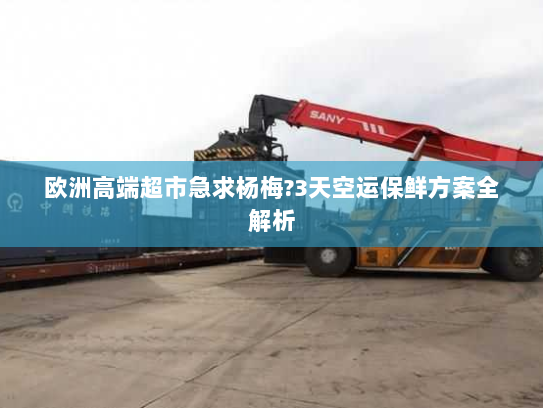 欧洲高端超市急求杨梅?3天空运保鲜方案全解析