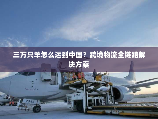 三万只羊怎么运到中国？跨境物流全链路解决方案