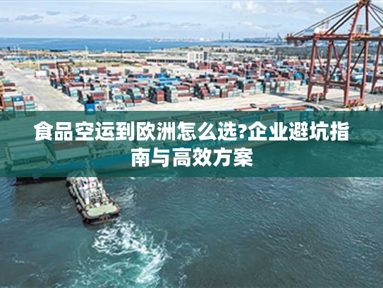 食品空运到欧洲怎么选?企业避坑指南与高效方案