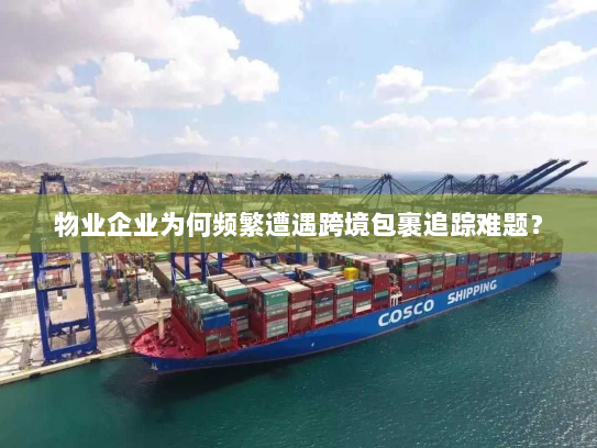 物业企业为何频繁遭遇跨境包裹追踪难题？