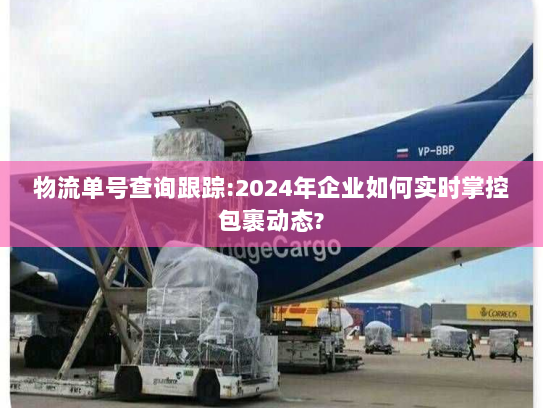 物流单号查询跟踪:2024年企业如何实时掌控包裹动态? 物流单号查询跟踪:2024年企业如何实时掌控包裹动态?