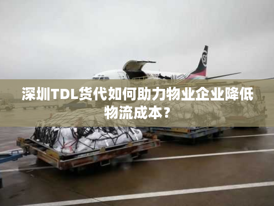 深圳TDL货代如何助力物业企业降低物流成本？