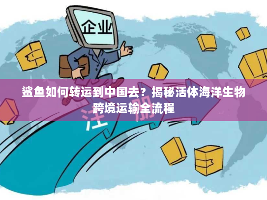 鲨鱼如何转运到中国去？揭秘活体海洋生物跨境运输全流程