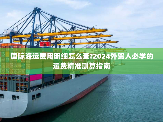 国际海运费用明细怎么查?2024外贸人必学的运费精准测算指南 国际海运费用明细怎么查?2024外贸人必学的运费精准测算指南