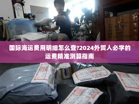 国际海运费用明细怎么查?2024外贸人必学的运费精准测算指南 国际海运费用明细怎么查?2024外贸人必学的运费精准测算指南