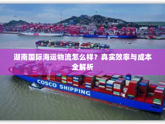 湖南国际海运物流怎么样?真实效率与成本全解析 湖南国际海运物流怎么样?真实效率与成本全解析