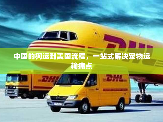 中国的狗运到美国流程,一站式解决宠物运输痛点 中国的狗运到美国流程,一站式解决宠物运输痛点