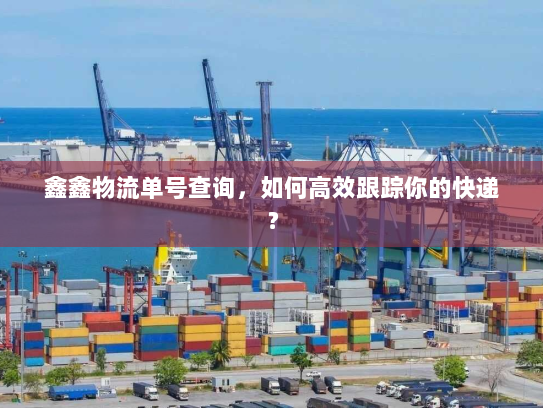 鑫鑫物流单号查询，如何高效跟踪你的快递？