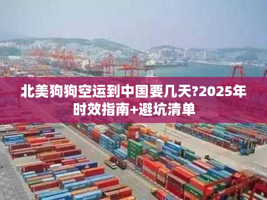 北美狗狗空运到中国要几天?2025年时效指南+避坑清单
