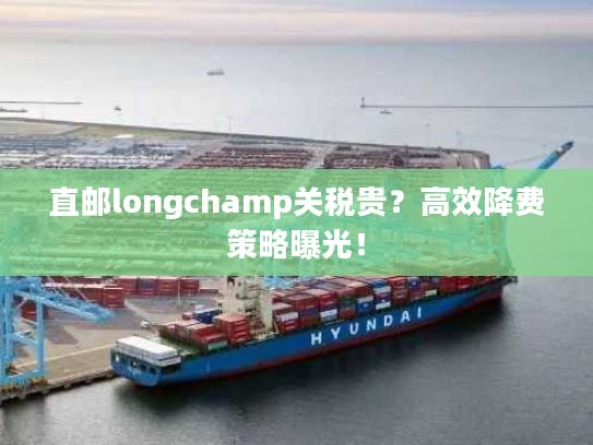 直邮longchamp关税贵?高效降费策略曝光! 直邮longchamp关税贵?高效降费策略曝光!
