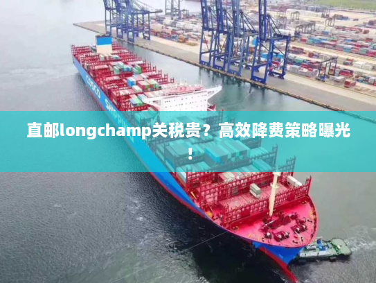 直邮longchamp关税贵?高效降费策略曝光! 直邮longchamp关税贵?高效降费策略曝光!