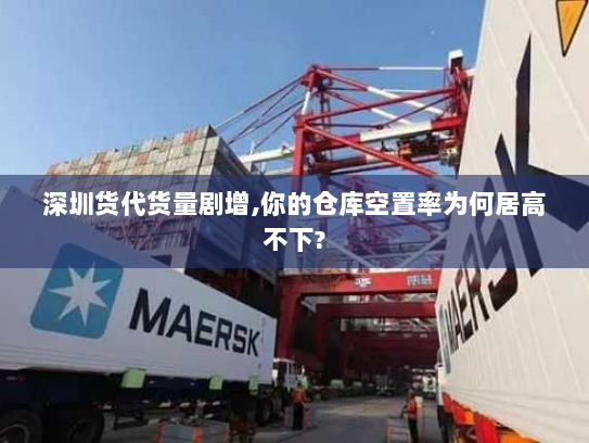 深圳货代货量剧增,你的仓库空置率为何居高不下? 深圳货代货量剧增,你的仓库空置率为何居高不下?