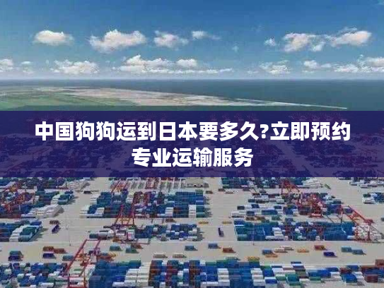 中国狗狗运到日本要多久?立即预约专业运输服务