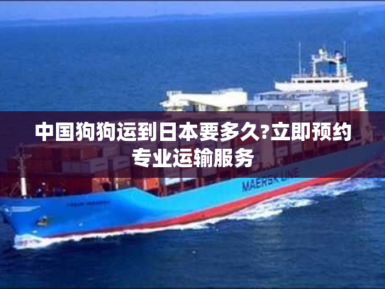 中国狗狗运到日本要多久?立即预约专业运输服务