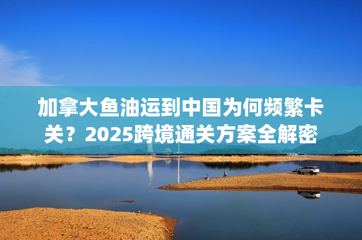 加拿大鱼油运到中国为何频繁卡关？2025跨境通关方案全解密