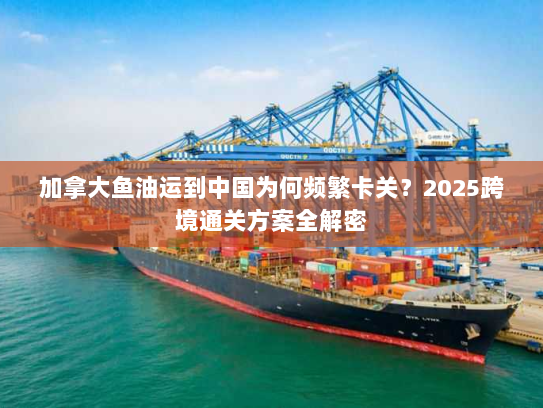 加拿大鱼油运到中国为何频繁卡关?2025跨境通关方案全解密 加拿大鱼油运到中国为何频繁卡关?2025跨境通关方案全解密