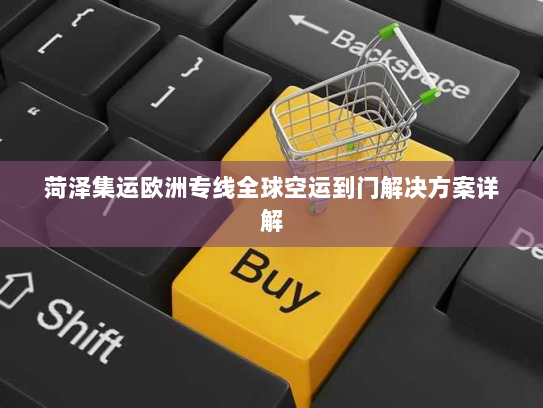 菏泽集运欧洲专线全球空运到门解决方案详解 菏泽集运欧洲专线全球空运到门解决方案详解