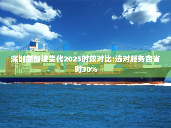深圳新加坡货代2025时效对比:选对服务商省时30% 深圳新加坡货代2025时效对比:选对服务商省时30%