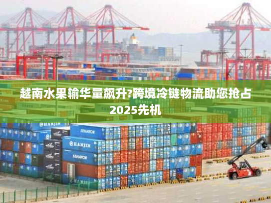 越南水果输华量飙升?跨境冷链物流助您抢占2025先机 越南水果输华量飙升?跨境冷链物流助您抢占2025先机