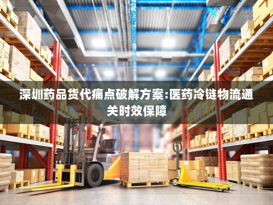 深圳药品货代痛点破解方案:医药冷链物流通关时效保障 深圳药品货代痛点破解方案:医药冷链物流通关时效保障