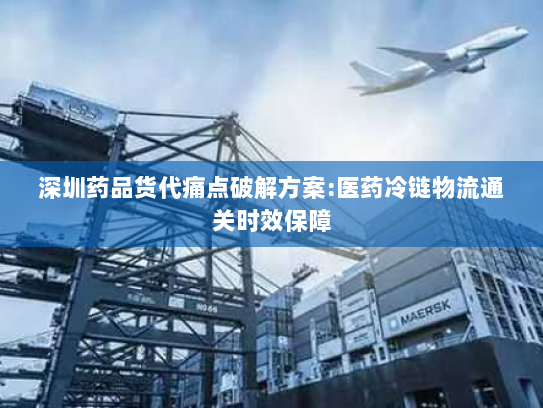 深圳药品货代痛点破解方案:医药冷链物流通关时效保障 深圳药品货代痛点破解方案:医药冷链物流通关时效保障