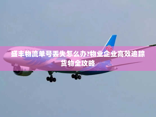 盛丰物流单号丢失怎么办?物业企业高效追踪货物全攻略 盛丰物流单号丢失怎么办?物业企业高效追踪货物全攻略