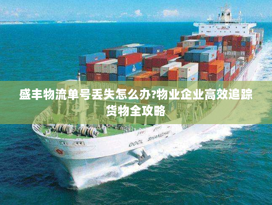 盛丰物流单号丢失怎么办?物业企业高效追踪货物全攻略 盛丰物流单号丢失怎么办?物业企业高效追踪货物全攻略