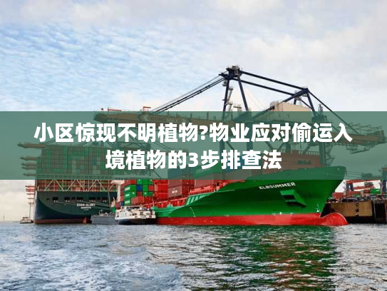 小区惊现不明植物?物业应对偷运入境植物的3步排查法