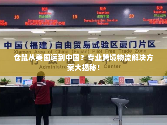 仓鼠从美国运到中国？专业跨境物流解决方案大揭秘！