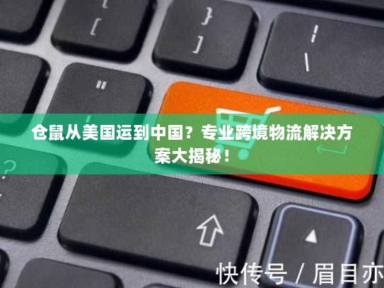 仓鼠从美国运到中国？专业跨境物流解决方案大揭秘！