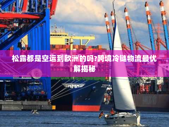 松露都是空运到欧洲的吗?跨境冷链物流最优解揭秘 松露都是空运到欧洲的吗?跨境冷链物流最优解揭秘