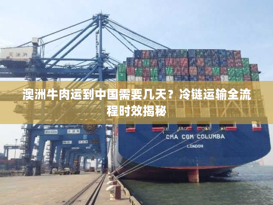 澳洲牛肉运到中国需要几天?冷链运输全流程时效揭秘 澳洲牛肉运到中国需要几天?冷链运输全流程时效揭秘