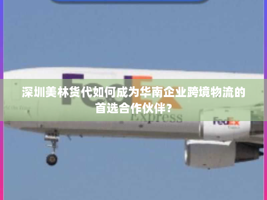 深圳美林货代如何成为华南企业跨境物流的首选合作伙伴? 深圳美林货代如何成为华南企业跨境物流的首选合作伙伴?
