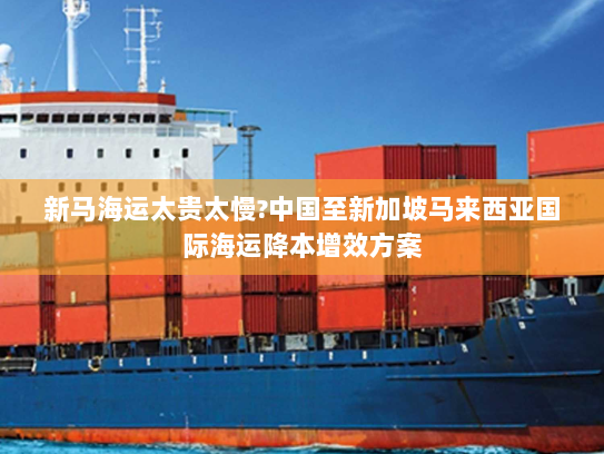 新马海运太贵太慢?中国至新加坡马来西亚国际海运降本增效方案 新马海运太贵太慢?中国至新加坡马来西亚国际海运降本增效方案