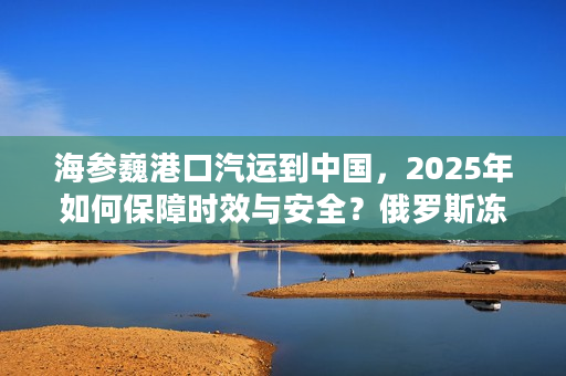 海参巍港口汽运到中国，2025年如何保障时效与安全？俄罗斯冻品运输新方案解析