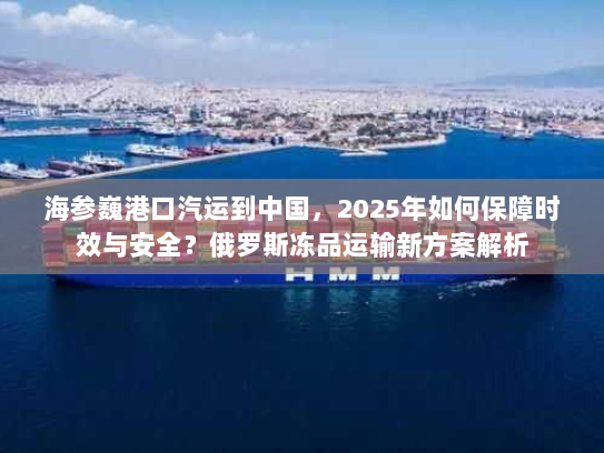 海参巍港口汽运到中国,2025年如何保障时效与安全?俄罗斯冻品运输新方案解析 海参巍港口汽运到中国,2025年如何保障时效与安全?俄罗斯冻品运输新方案解析