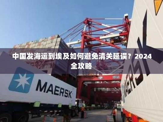 中国发海运到埃及如何避免清关延误?2024全攻略 中国发海运到埃及如何避免清关延误?2024全攻略