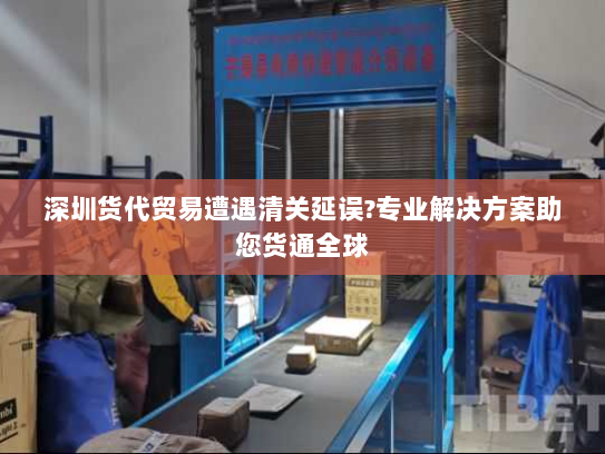 深圳货代贸易遭遇清关延误?专业解决方案助您货通全球 深圳货代贸易遭遇清关延误?专业解决方案助您货通全球