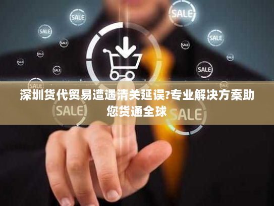 深圳货代贸易遭遇清关延误?专业解决方案助您货通全球 深圳货代贸易遭遇清关延误?专业解决方案助您货通全球