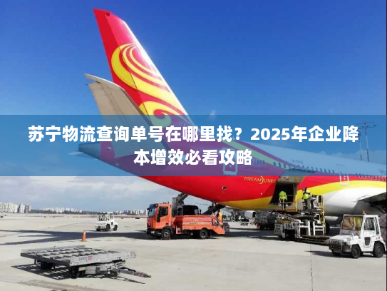 苏宁物流查询单号在哪里找？2025年企业降本增效必看攻略