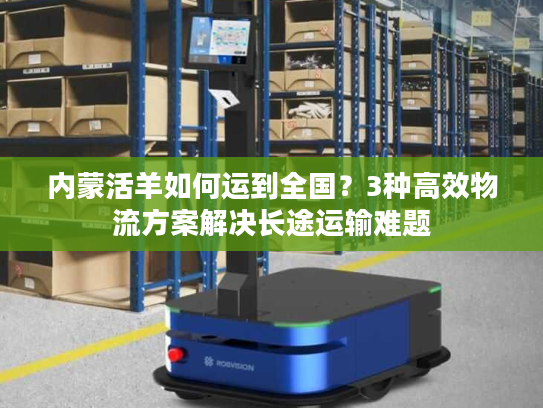 内蒙活羊如何运到全国？3种高效物流方案解决长途运输难题