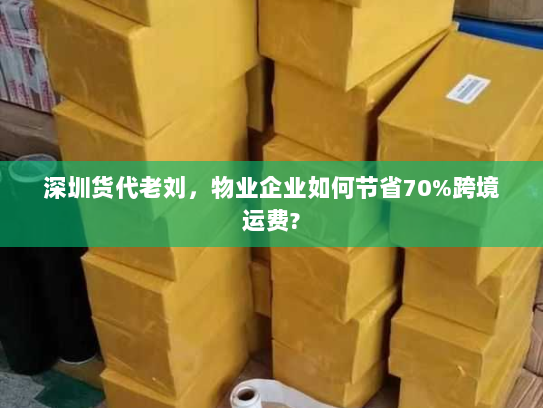 深圳货代老刘，物业企业如何节省70%跨境运费?