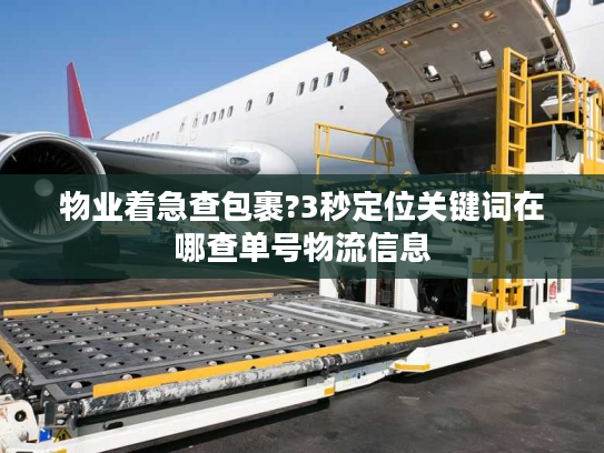 物业着急查包裹?3秒定位关键词在哪查单号物流信息 物业着急查包裹?3秒定位关键词在哪查单号物流信息