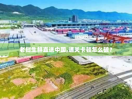 老挝生鲜直送中国,通关卡顿怎么破？