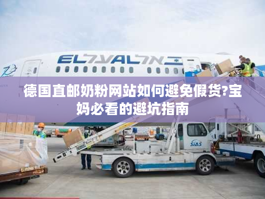 德国直邮奶粉网站如何避免假货?宝妈必看的避坑指南