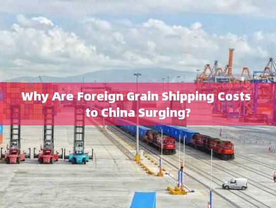 Why Are Foreign Grain Shipping Costs to China Surging? Why Are Foreign Grain Shipping Costs to China Surging?