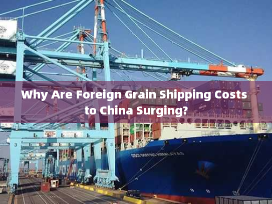 Why Are Foreign Grain Shipping Costs to China Surging? Why Are Foreign Grain Shipping Costs to China Surging?
