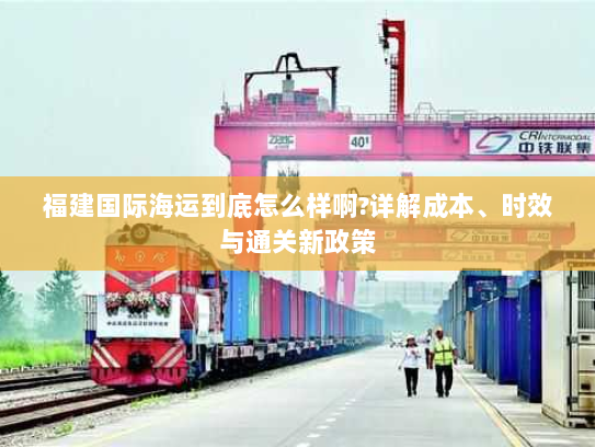 福建国际海运到底怎么样啊?详解成本、时效与通关新政策
